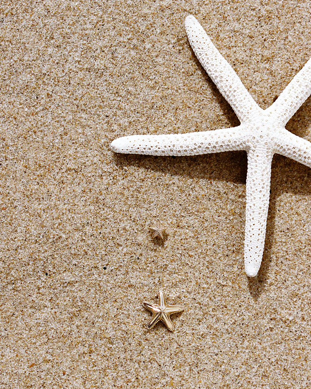 Petite Starfish Studs - Image 4